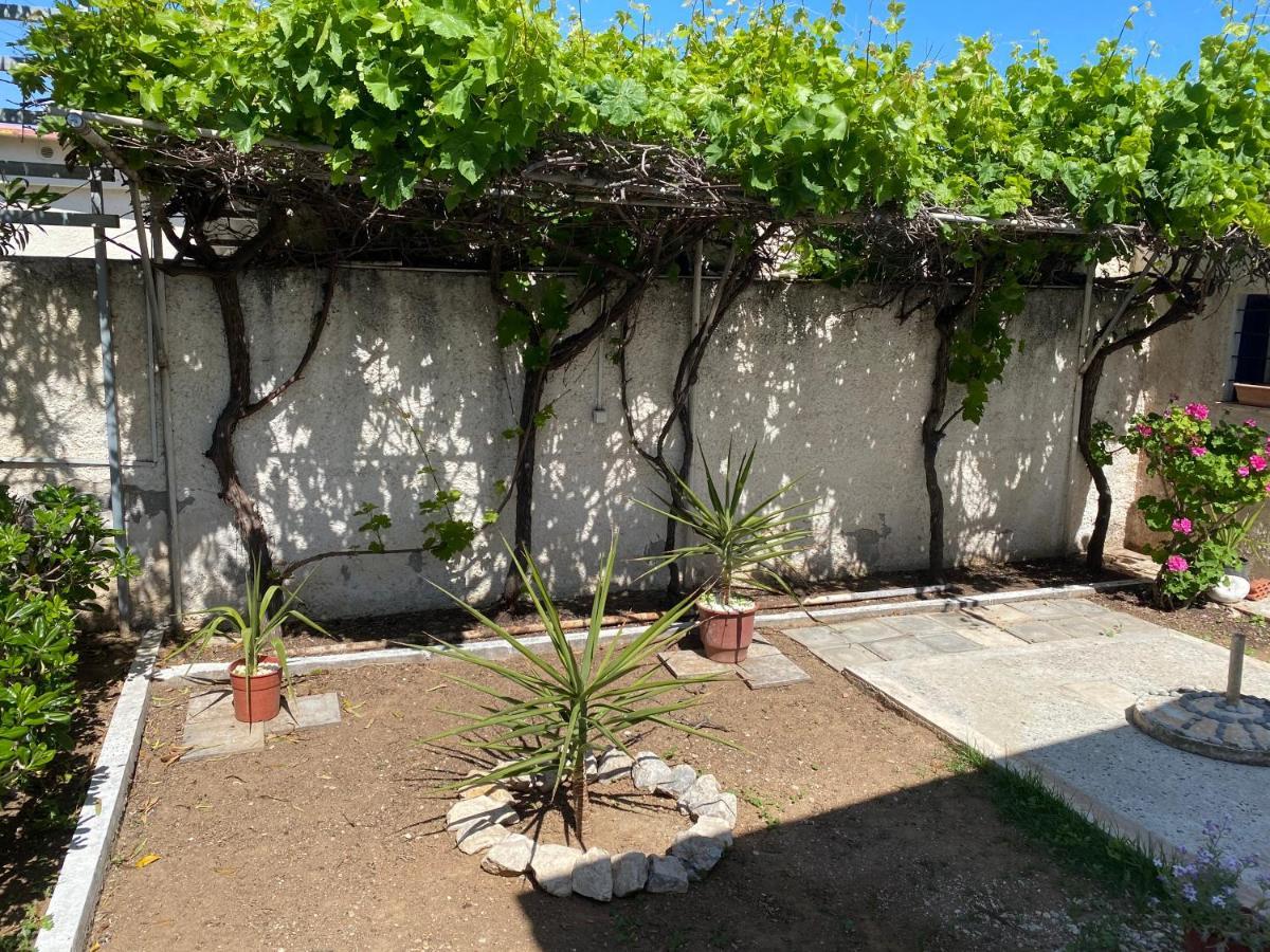 Alexia'S Beach House Káto Ássos المظهر الخارجي الصورة